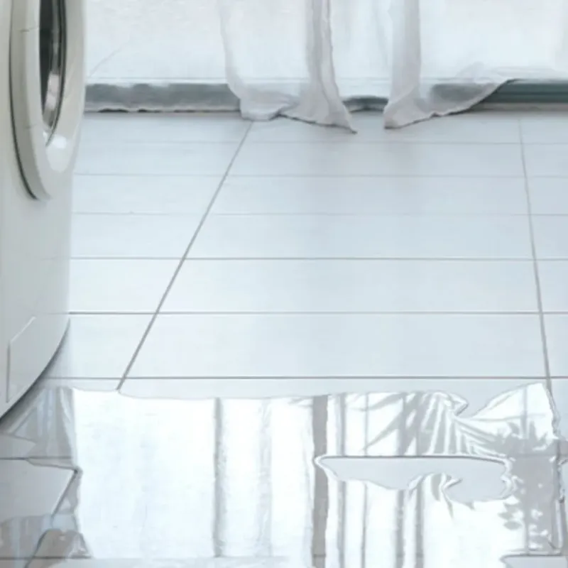 Appliance Leak Cleanup in Pine Hills, FL