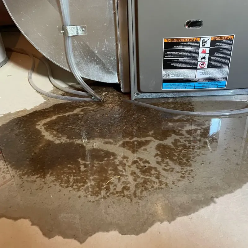 Pipe Burst and Leak Restoration in Pine Hills, FL